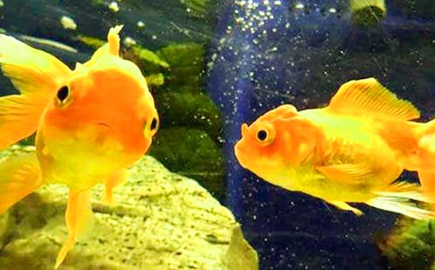 ���~������