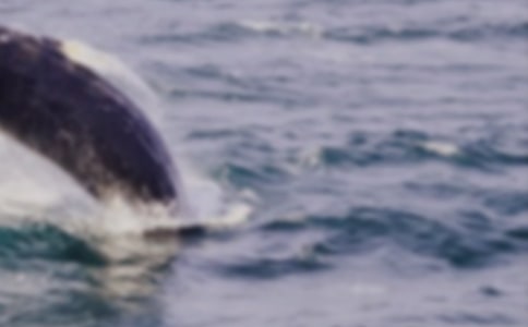 �L�~(y��)����������