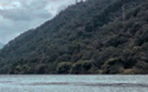 �茑��ظ�ԭ��ɫ�ľ���