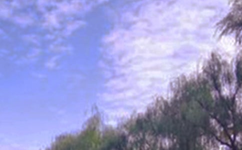 �茑��Ȼ��ɫ��Ԋ��