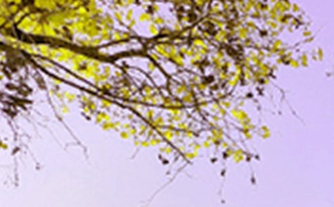 �����x���茑������ɫԊ��