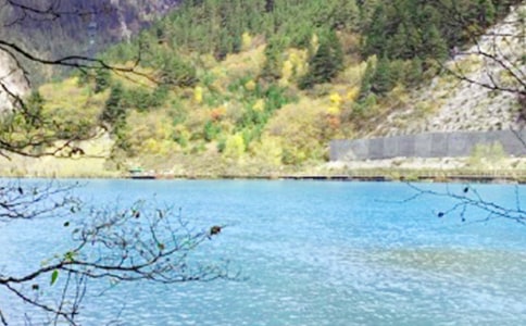 �P(gu��n)�ھ�կ�Ͻ�B