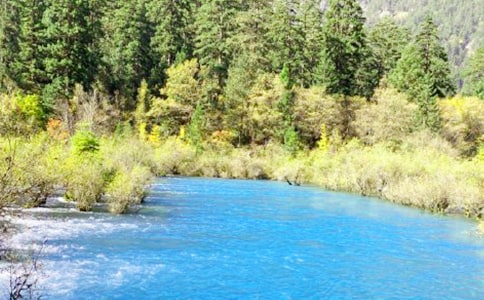 [���]]��կ������15ƪ