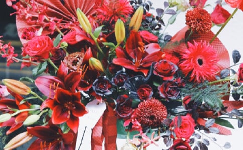 淘寶新店開(kāi)張廣告語(yǔ)