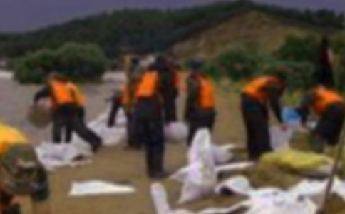 抗洪的心得體會(huì)