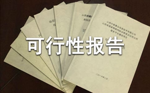 項(xiàng)目投資可行性報(bào)告