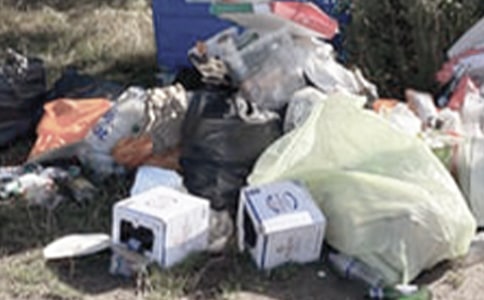 �_չ�ӵ������������󣨴�ȫ14ƪ��