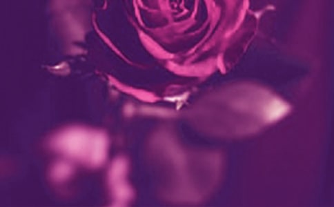 �P(gu��n)������Ψ���f�f��ȫ70��