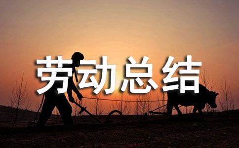 小學(xué)勞動(dòng)周勞動(dòng)總結(jié)(精選10篇)