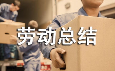 勞動總結(jié)和感想(通用13篇)
