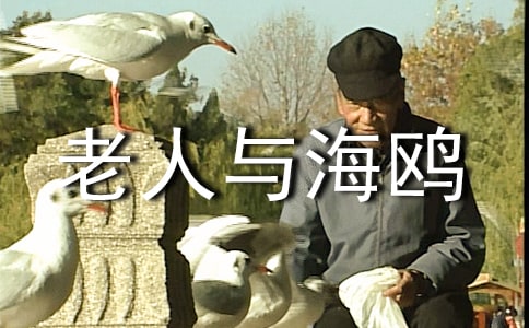 �����c���t�̌W�OӋ�ڶ��n�r