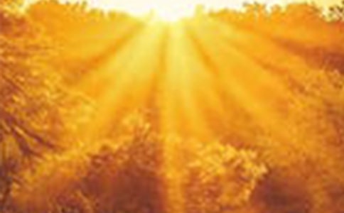 �ڰ�ǰ����������