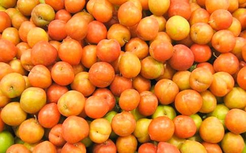 ժ�������ĺϼ�12ƪ