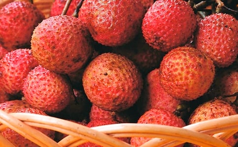 ԁ��֦ԭ���p��