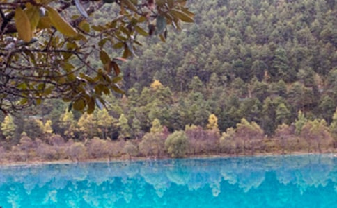 �������Ĺų�����