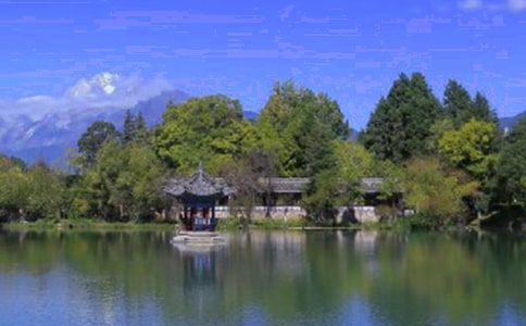 �����ų����ľ�Ʒ(13ƪ)