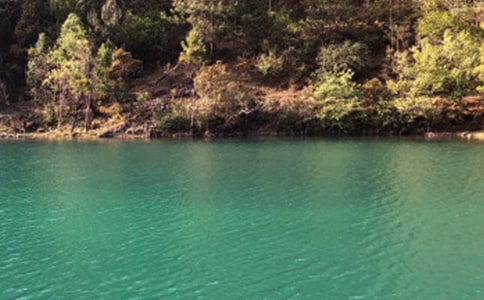 �������ų�����