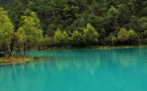 ����(y��u)���������ų�����