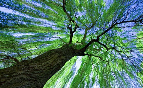 �茑�����Ԋ�伯�\15ƪ