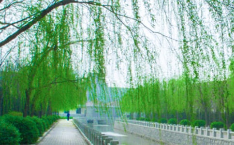 �������ģ�����