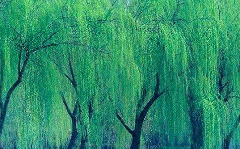 �茑�����Ԋ�䳣��[15ƪ]