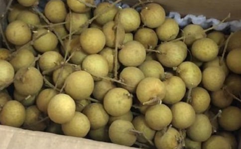 ���l(xi��ng)����������