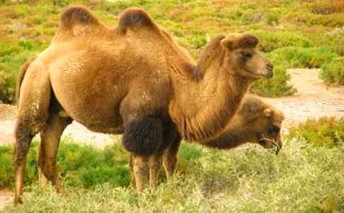 ��ͨ�á��T������31ƪ