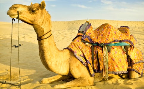 ���񄌤��ӛ���x���