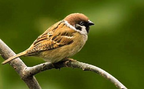 ��ȸ���w������