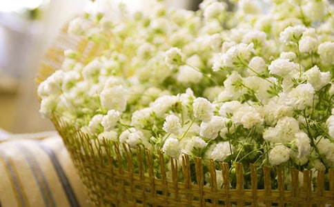 �M���ǃ�(y��u)������