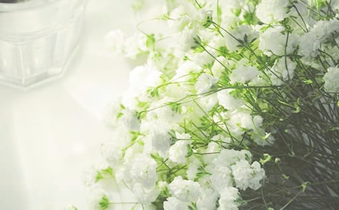 ����һ�F(tu��n)��ɢ�ǝM����ɢ��