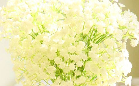 [���A]�M��������