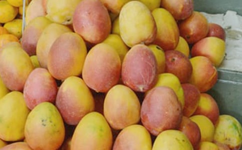 â��450�����ģ����x28ƪ��