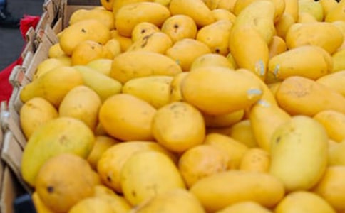 â����ô����â�����ӄ�Ƥ��â����Ƥ����