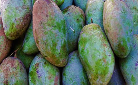 â����ꪵ�����