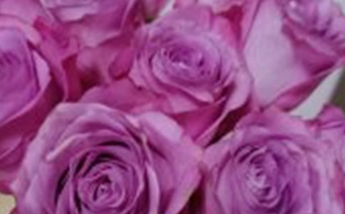 ���꼉��С¹��õ�廨���̌W(xu��)�O(sh��)Ӌ