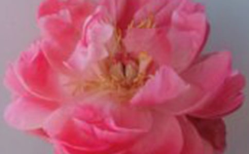 �tõ�廨�Z��ȫ