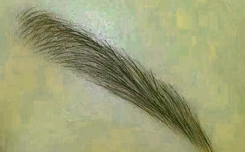 ��üë�����\��(7ƪ)