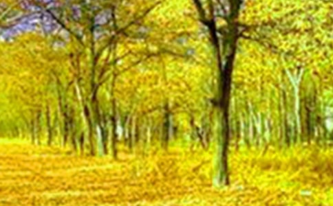 �茑������Ԋ��