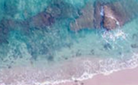 ��ԭ����������