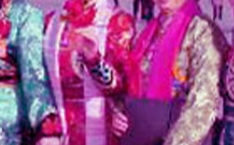 ������ɫ����