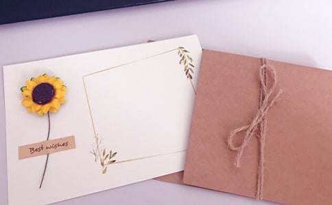 ����������Ƭ���Z