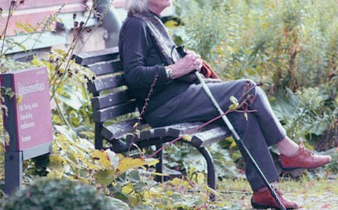 ���̃�(y��u)������800��