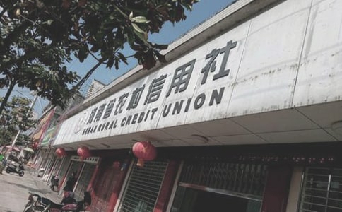 農(nóng)村信用社信貸總結(jié)范文(精選10篇)