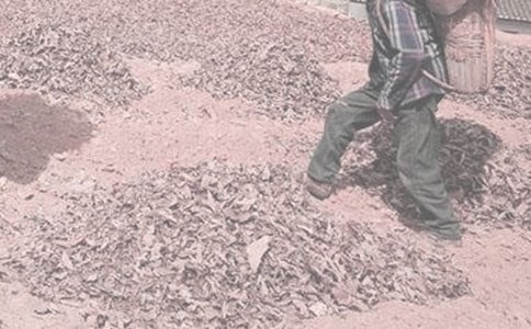 һ�θ��r(n��ng)������