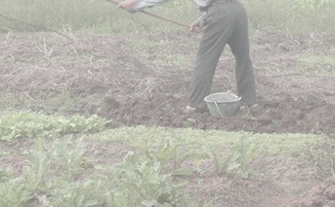 һ�θ��r(n��ng)��Ć�ʾ����