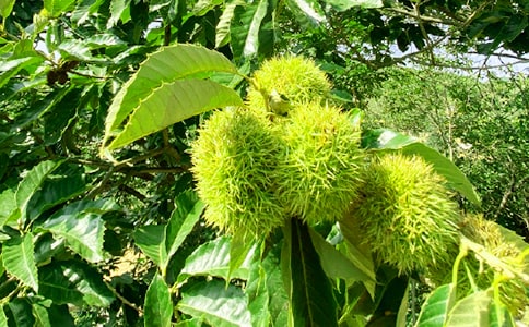 �r(n��ng)�Ҙ����ģ����ϣ�