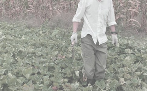 農(nóng)作物抗旱綜合技術(shù)方案