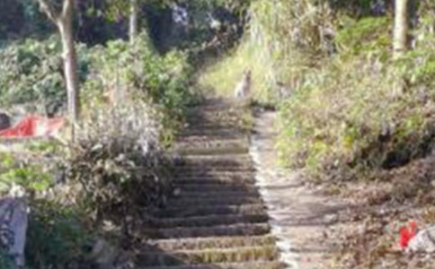 �P(gu��n)����ɽ�����_�̰�