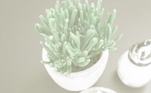 ���Ե�����